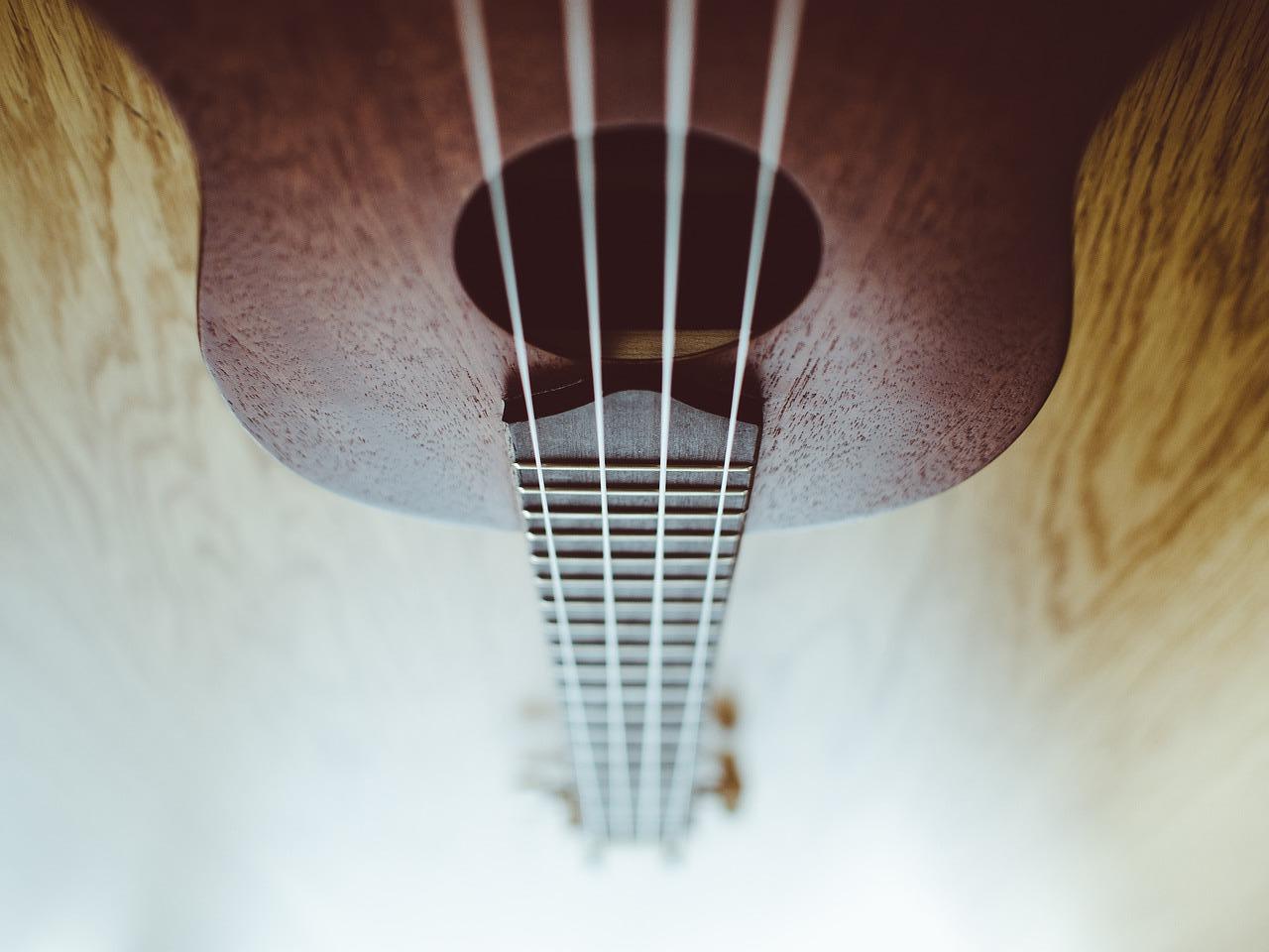 ukulele music banner wide